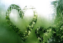 傻瓜式網(wǎng)站設(shè)計(jì)(傻瓜網(wǎng)頁(yè)設(shè)計(jì)軟件)